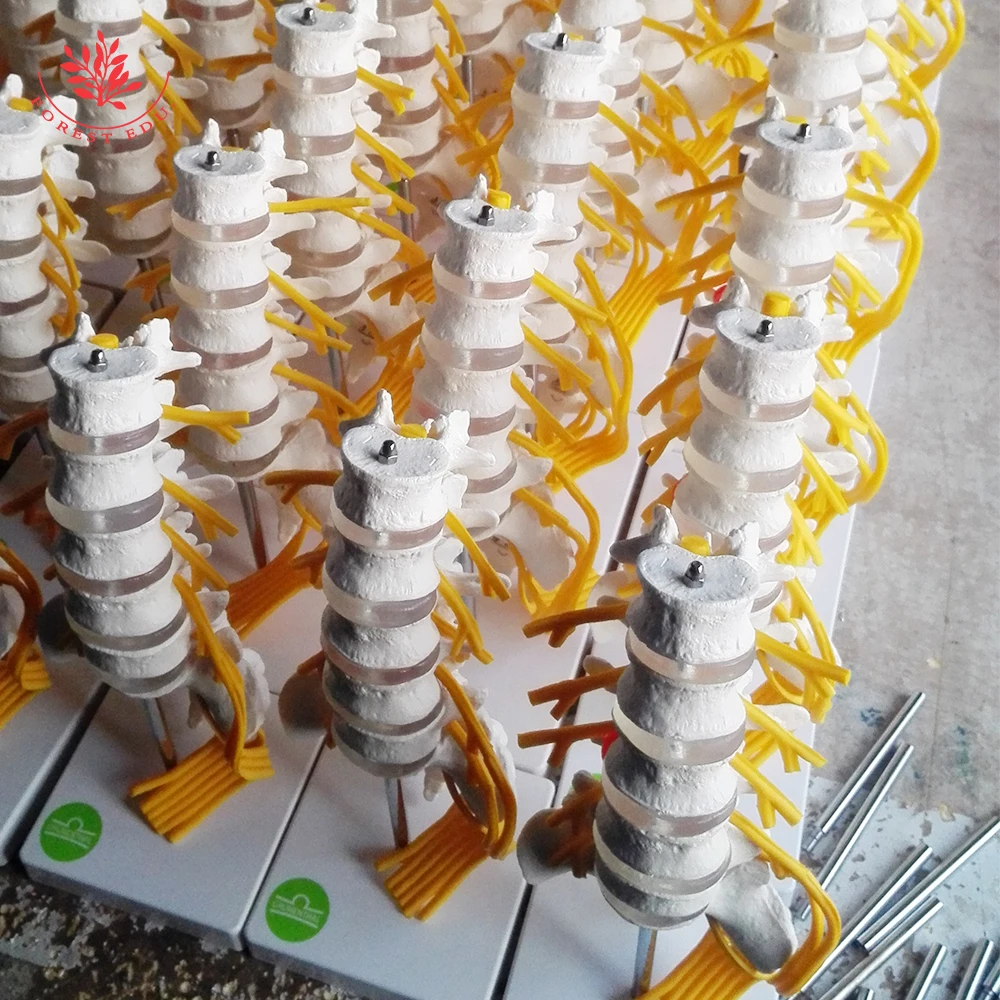 First Doctor Aid Training Medical Full Body General Doctor Adult Training Cpr Manikin