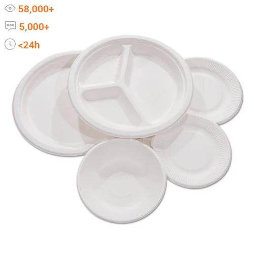 Reusable Biodegradable Bagasse Lunch Tray Eco-Friendly Sugarcane Plate Box for Dishes & Plates