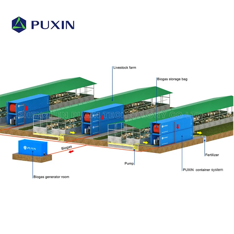  PUXIN 20 футов Полный Био-газовый завод био-дигестор система для получения биогаза электричество и удобрения от навоза