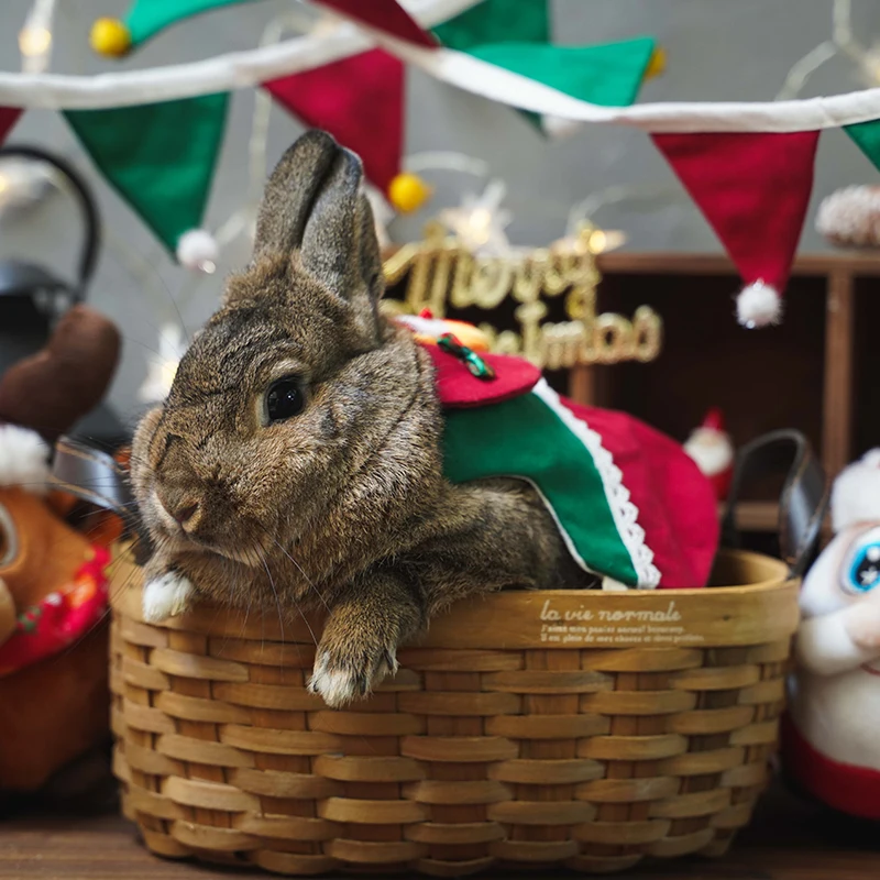 New year Christmas Christmas clothes flag guinea pig chinchilla Christmas cloth bag grass rack traction rope rabbit vest clothes