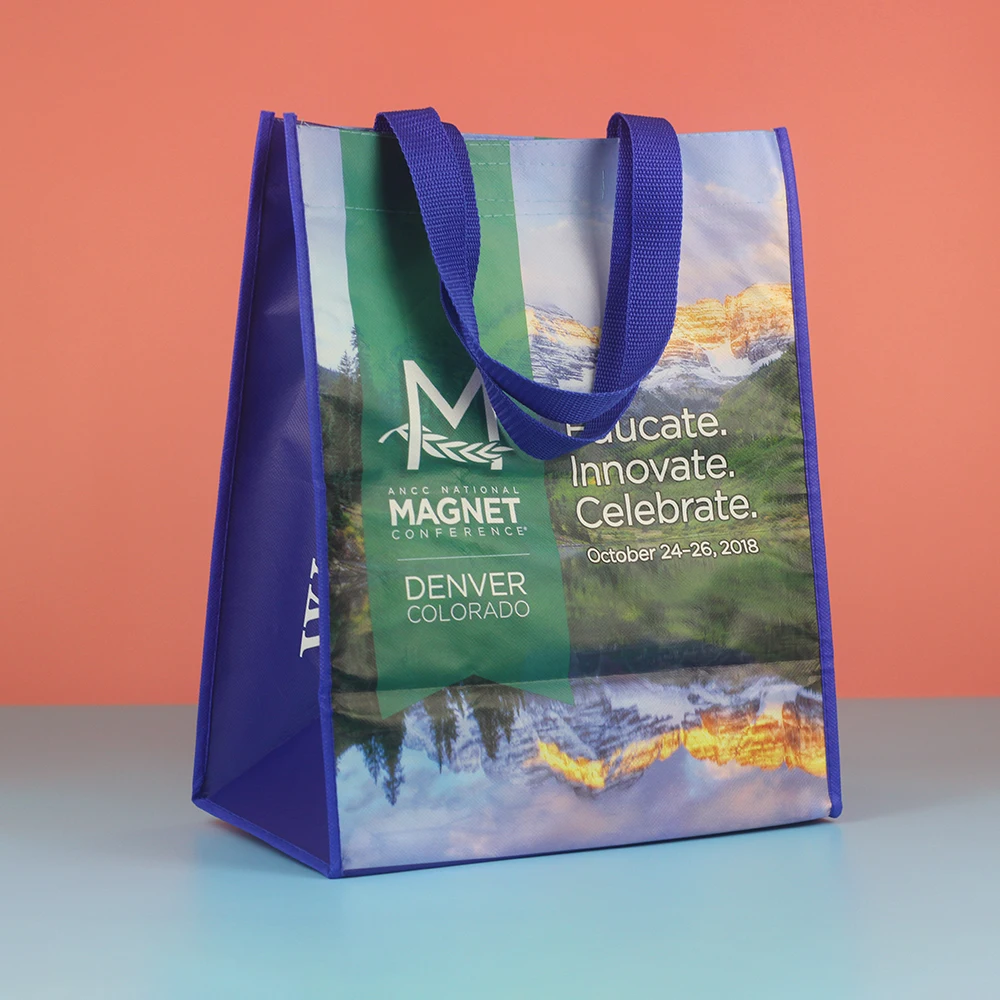 Wholesale Customised Logo Oem Reusable Grocery Zip Small Non-woven Foldable Pp Fabric Non Woven Shopping Bag With Zipper Button