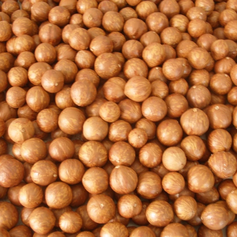 Китайский Юньнань ядра ореха макадамии deshell в оболочке цена покупателя (1600429896583)