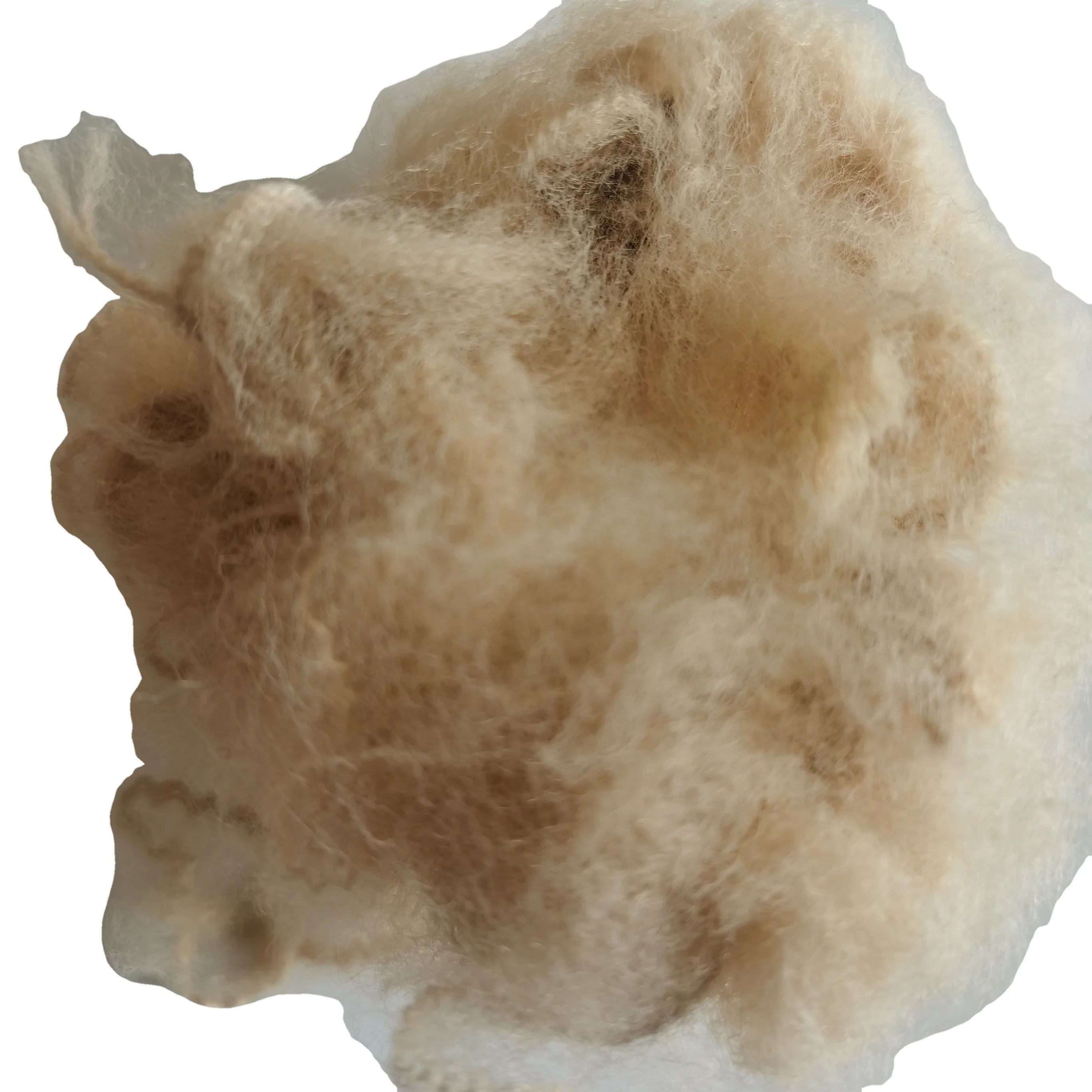 GRS certified Hot sale-dope colors polyester fiber LOW PRICE  3D * 51MM