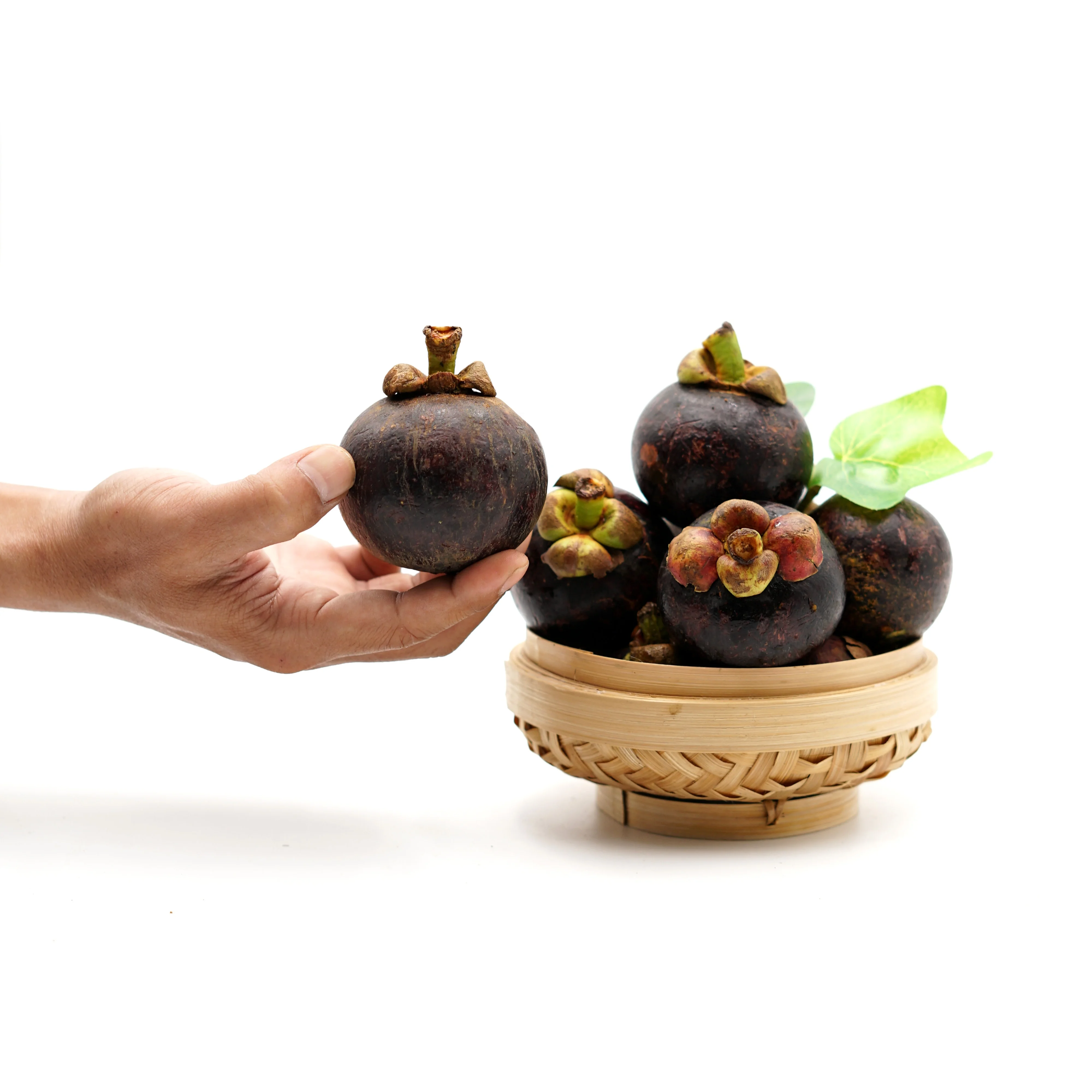 
Best Selling Fresh Mangosteen Natural Green For Market Sale 