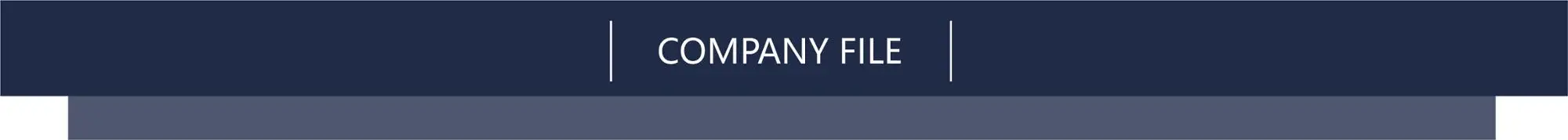 company file
