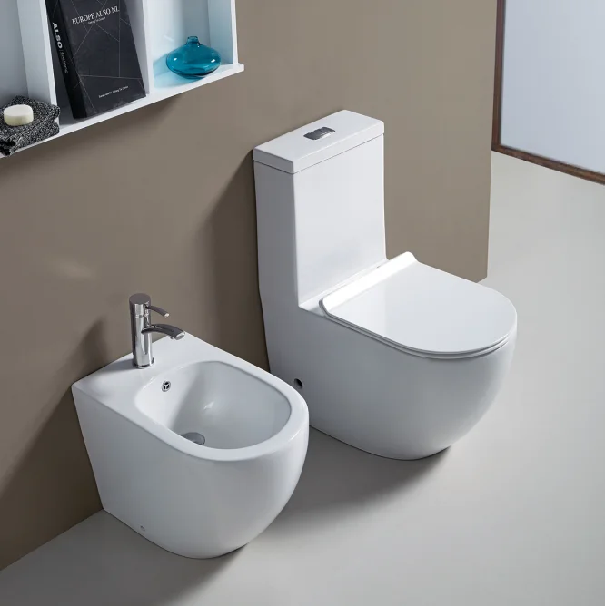 DCBJ F8831G the middle east clean vagina toilet combination bidet