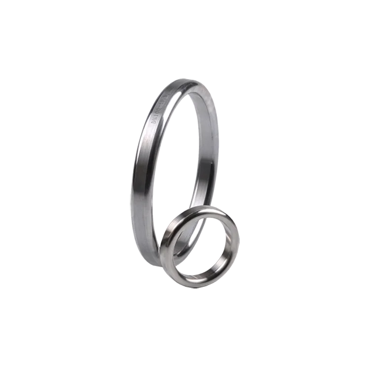 Drilling Tool Wellhead Christmas Tree Forged SS316 RX53 BX156 Ring Gasket