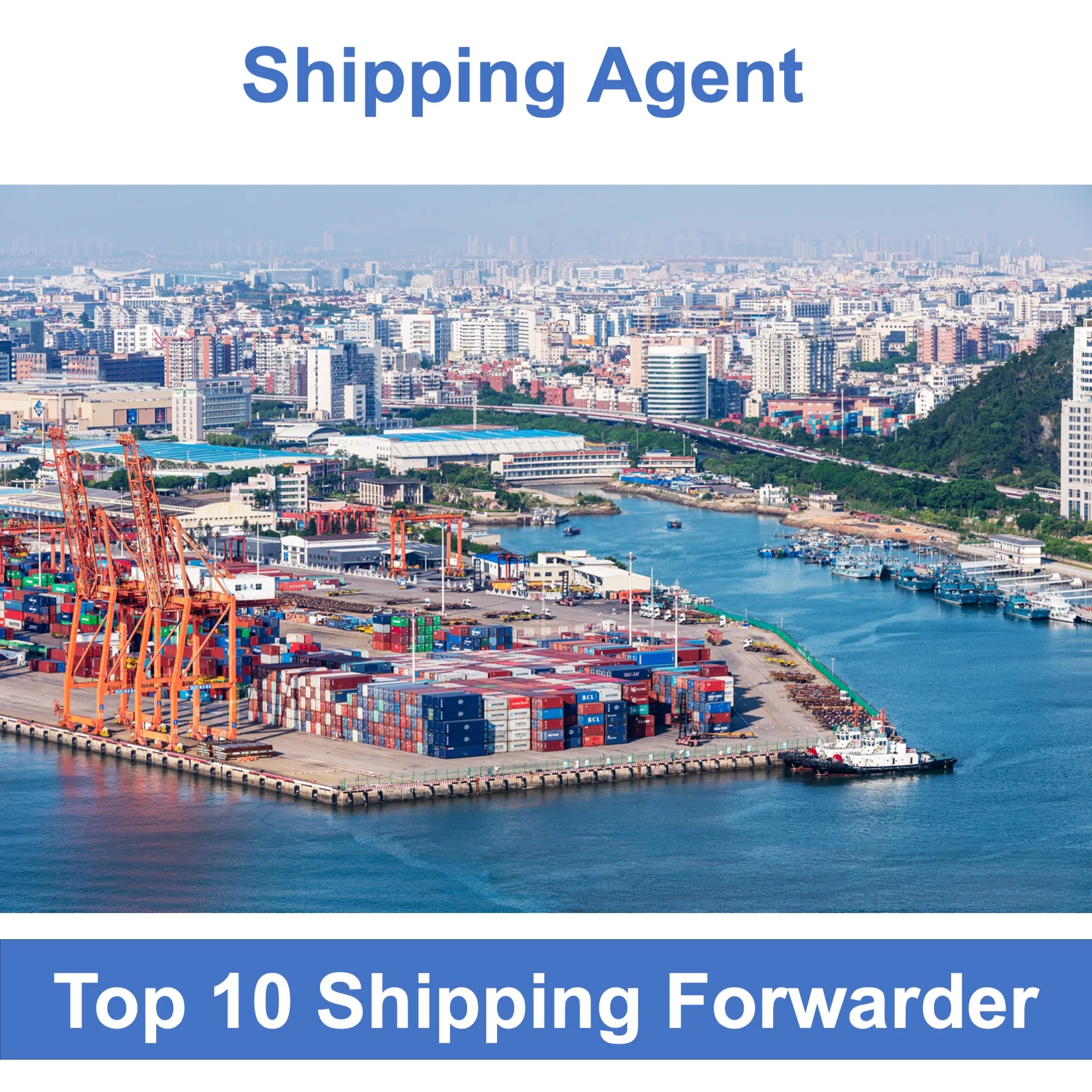 Ddp Freight Forwarder From China To Saudi Arabia India Usa Pakistan South Africa Iraq Uae Dubai Egypt Kuwait Shipping Agent