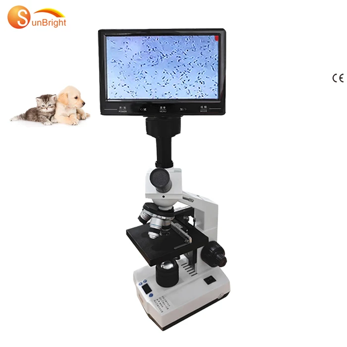 Factory supply cheap price vet use video microscope for sale