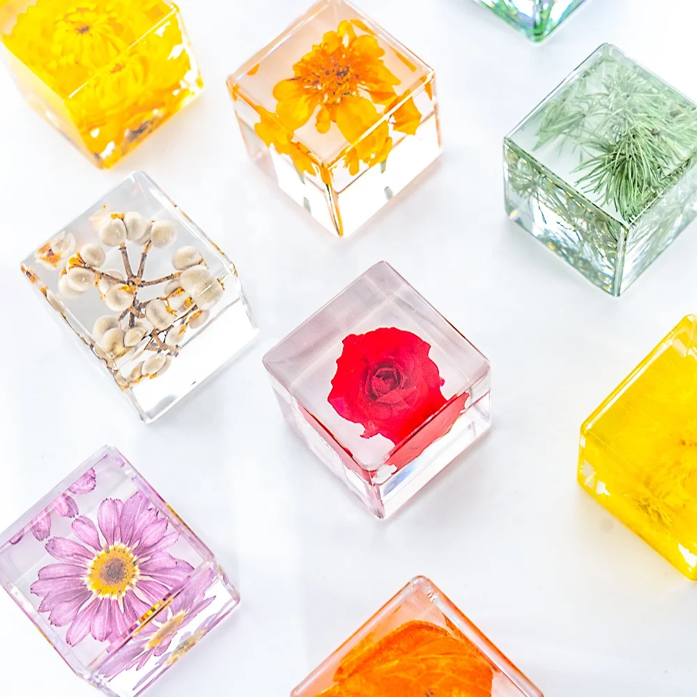 Insect in Specimen Bug Paperweights Resin Different Insect Preserved in Resin for Kids Scientific Educational Toy