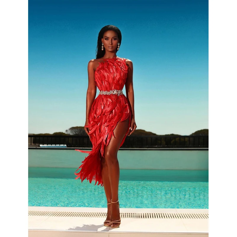 A5820 High Quality Prom Dress Vestidos Celebrity Red Feathers Sleevesr Elegant Women Evening Party Dress
