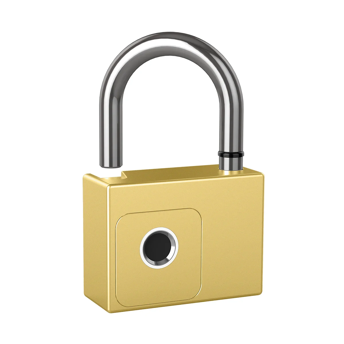 High Safety Tuya mini smart home lock Cheap Copper lock with keys door lock waterproof Biolock
