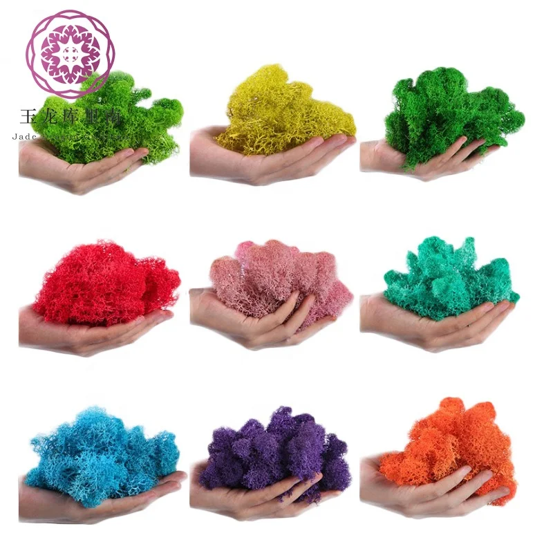 Culinan Wholesale 500g 8-9Cm Real Sea Moss Natural Dried Reindeer Natural Preserved Moss For Moss Wall Decor