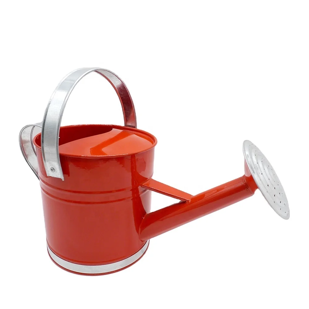 
With Galvanized handle on top and side Metal Watering can 