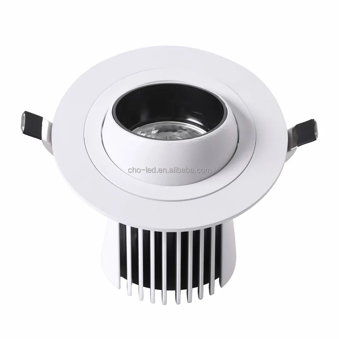 10w Gimbal ceiling light 1.jpg