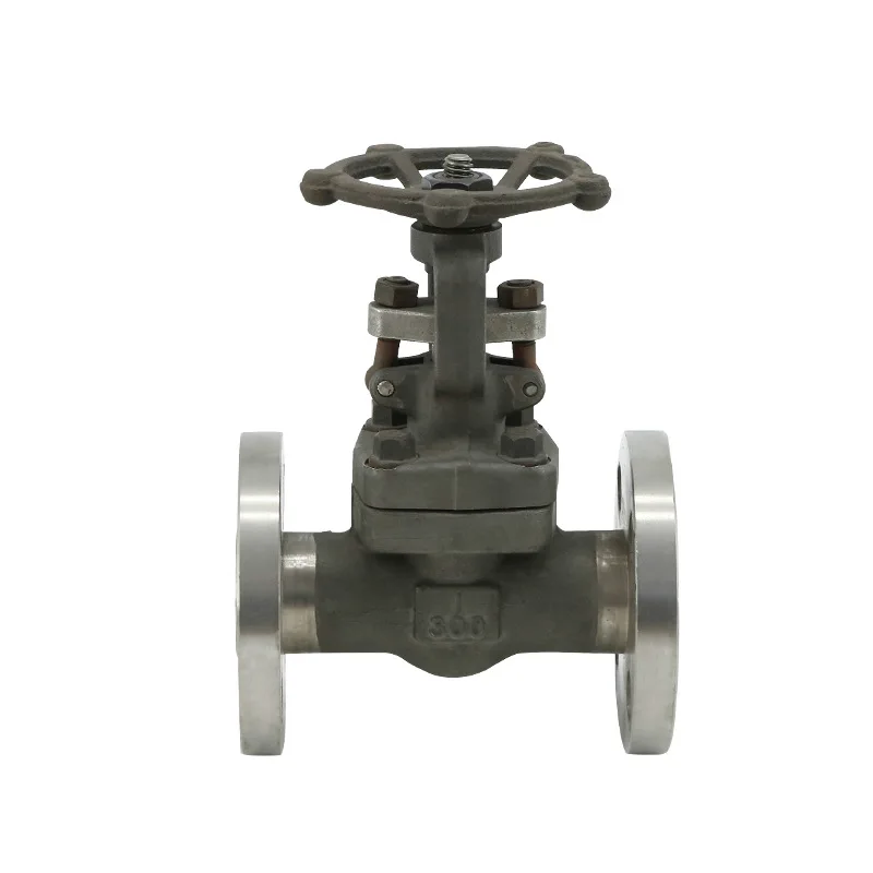 Stainless Steel Plug Type Cast Iron Globe Valve J41W-25P PN25 Flange Globe Valve
