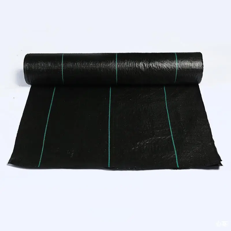 Shandong Factory Direct Sale Agricultural PP Weed Mat Woven Plastic Agro Textile Greenhouse Hot Sale Arrivals at Factory Price