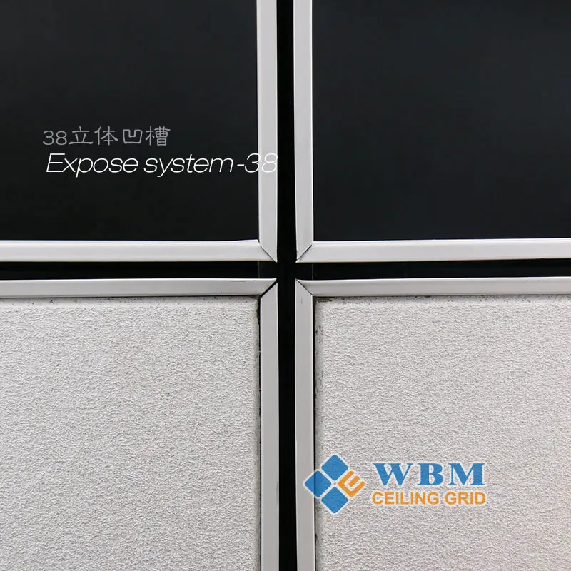 Expose Suspended Ceiling Main Tee System Ceiling Grid Components Stainless Steel Manufacturer and Factory White Line Apartment