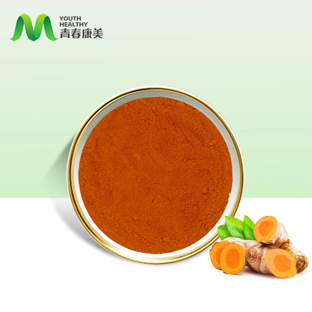 Factory Supply Nano Technology Water-Soluble Curcumin Extract