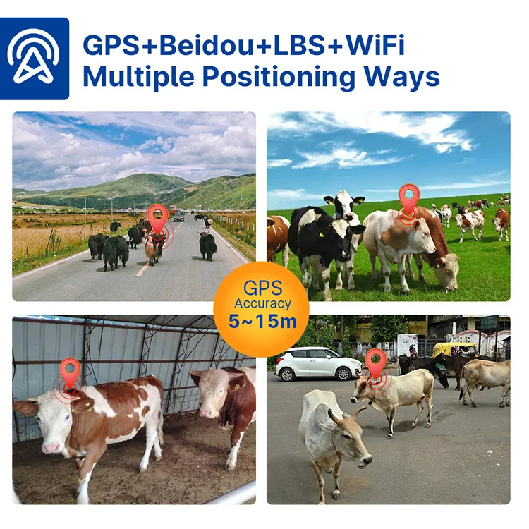 DP04-[B38]GPS+LBS.jpg