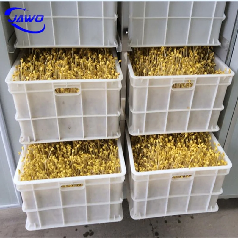 Wheat Green Grass Sprouting Container Animal Feed Hydroponic Production Room Feed Processing Machines