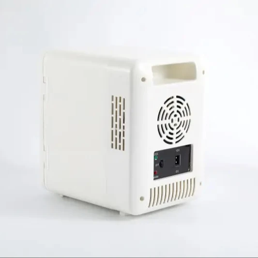 China Supply 12v 4L Capacity Pp Material Use For Cars Home Hotel Apartment Portable Mini Refrigerators