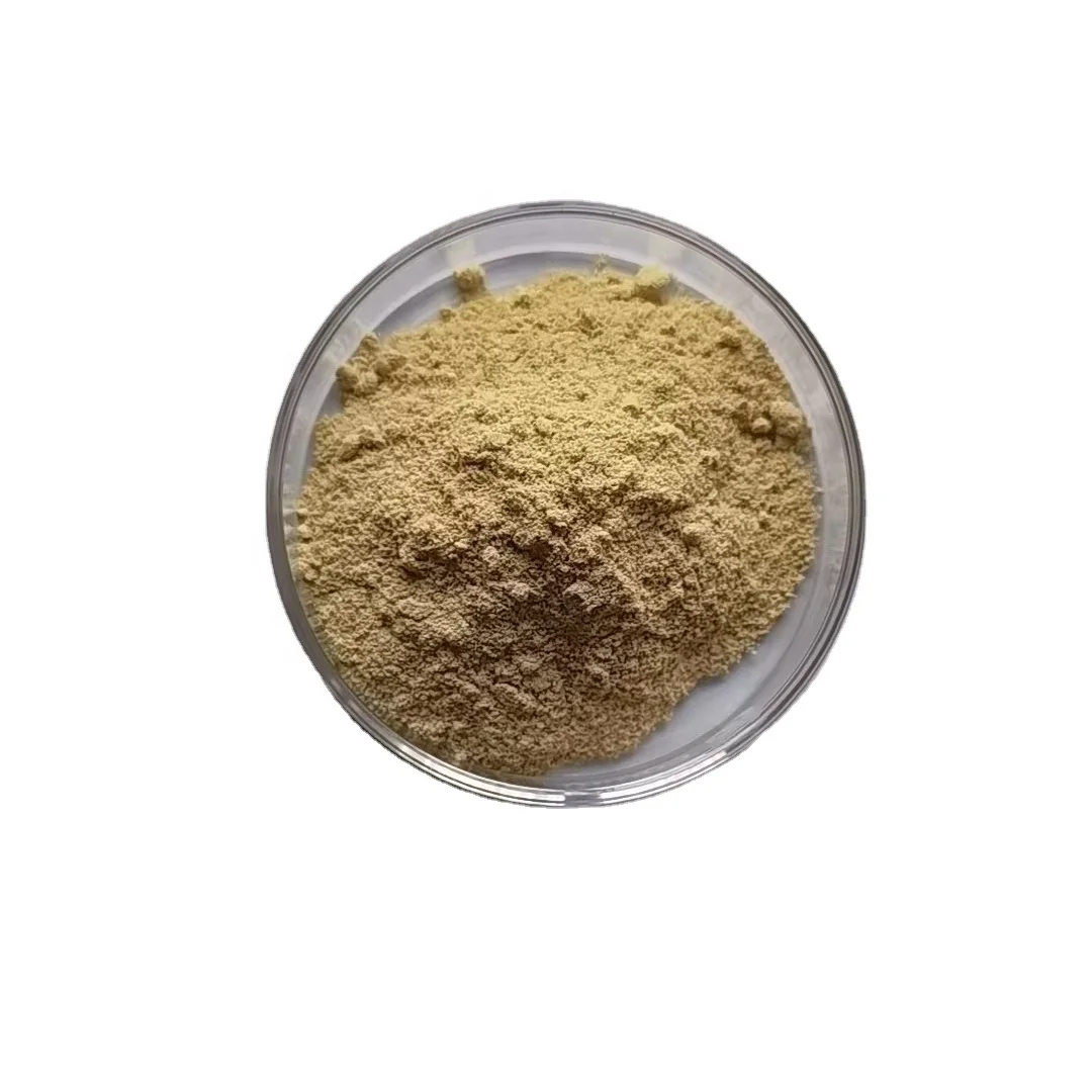 Aurora Bulk Supply Hesperidin Citrus Extract Health Supplement 98% Diosmin Powder