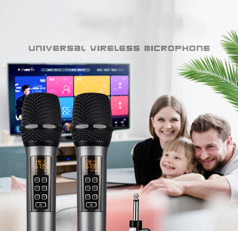 UHF Dual Cordless Metal Dynamic Mic System with Rechargeable Receiver, for Karaoke Singing Wedding DJ Party Speech Class