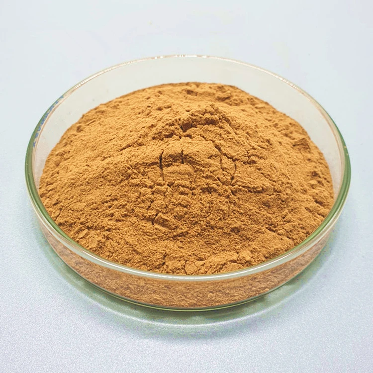 Китайский экстракт корицы полифенолы 10% ~ 50% порошок с цейлонской корицей в порошке