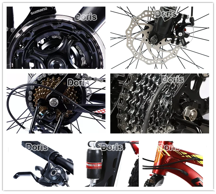 Doris fat bike details.jpg