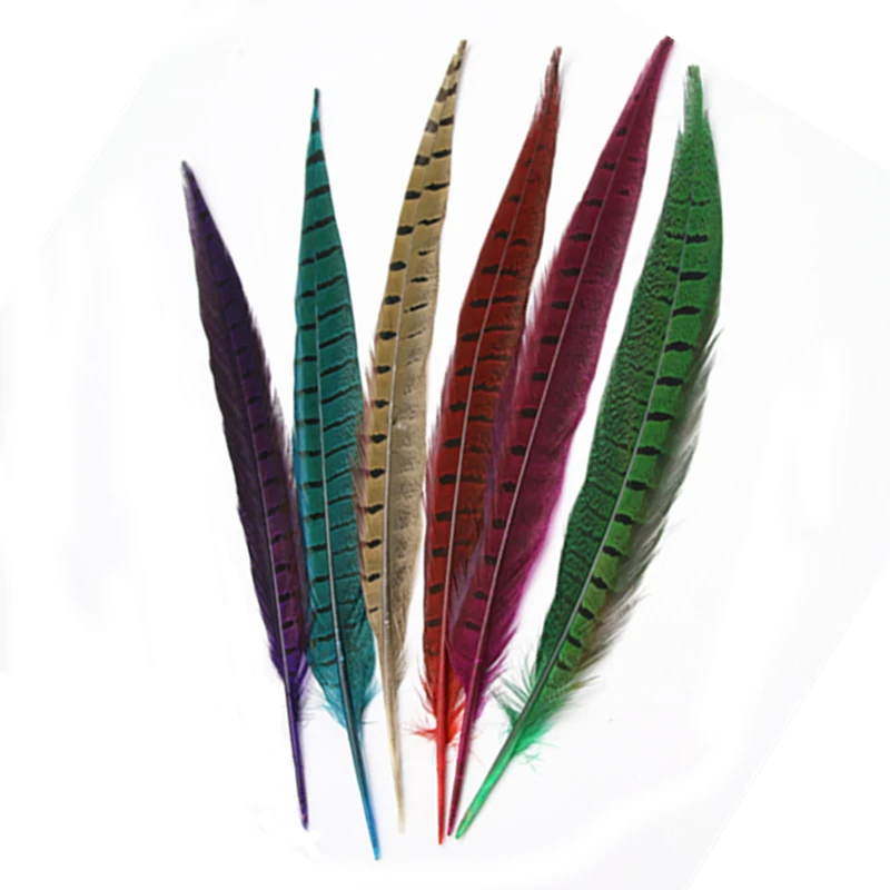 Wholesale Natural Plumas Ringneck Pheasant Tail Feathers Pluma de Faisan