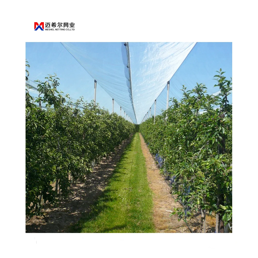 plastic mesh anti-insect netting High quality anti hail net for agricultural 30mesh anti insect net