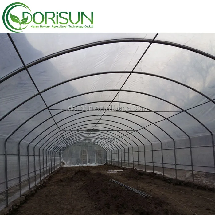 Low cost agricultural high tunnel plastic film single-span greenhouses