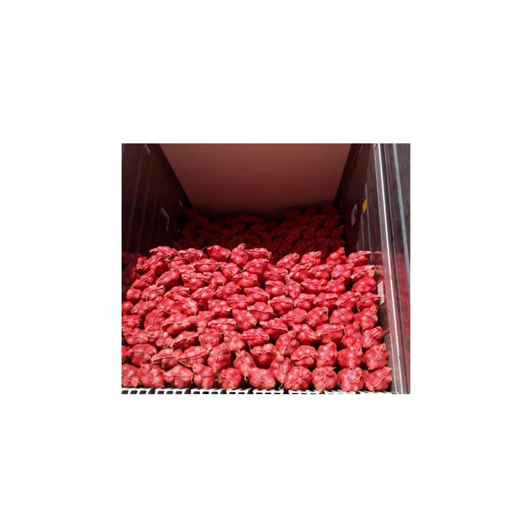 
High quality 10kg/20kg Mesh Bag red peeled Onions in bulk onion exporter fresh red onion for good price 