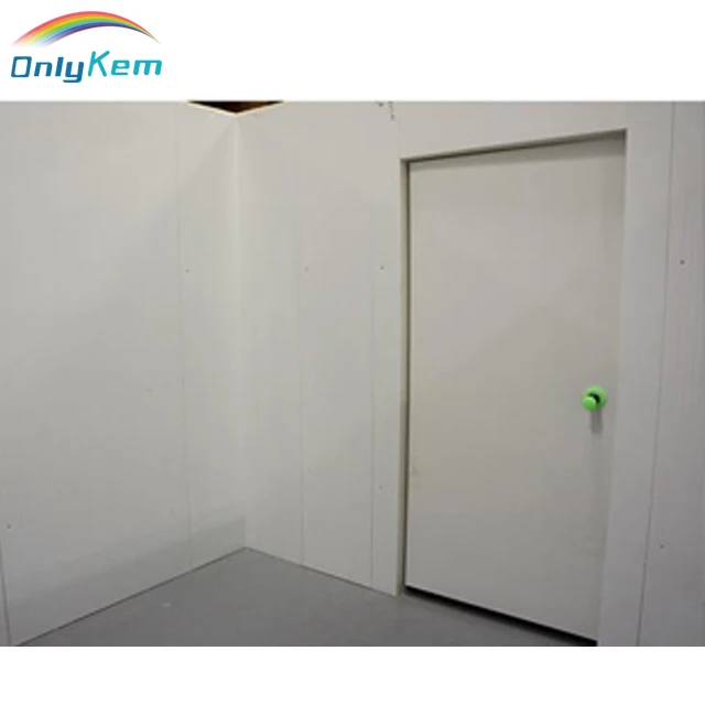 Walk in Freezer Room Low Temperature/walk Cold for Frozen Meat