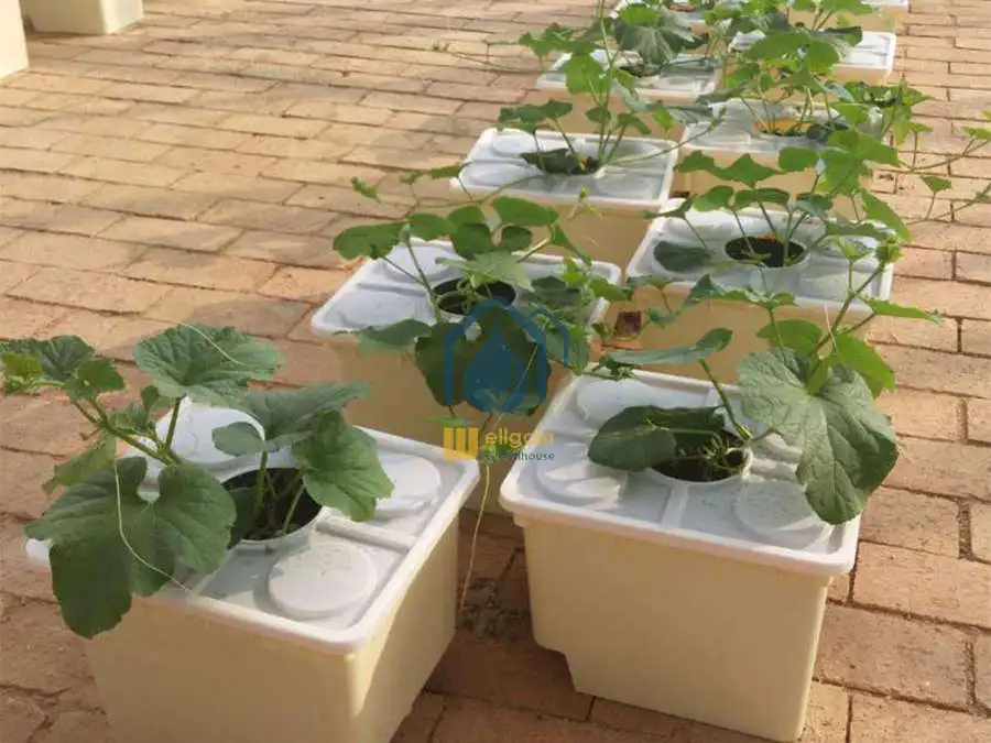 Planting Pots Black Dutch Buckets for Hydroponic