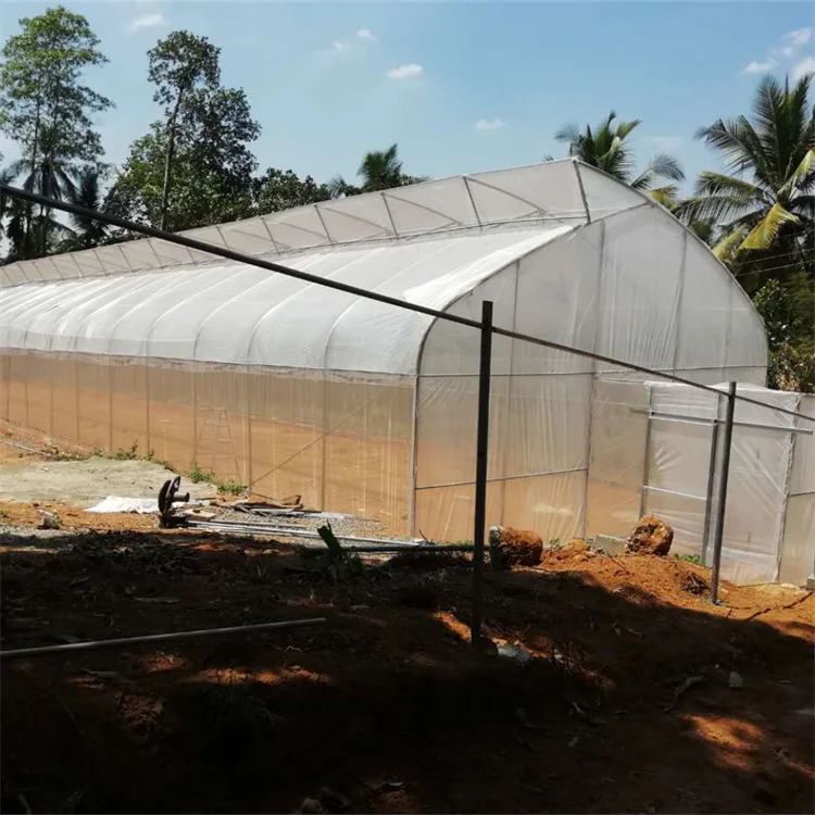 Popular Sawtooth Greenhouse Tunnel With Ventilation Greenhouse For Plants