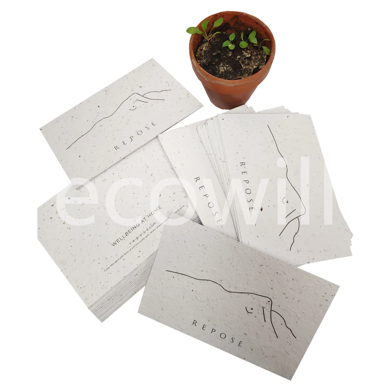 
 Ecowill 2021 прорастание, спасибо, семена растений, бумажная почтовая карточка с растительными травами, семена овощей  