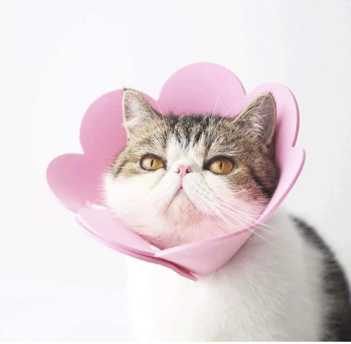 Wholesale Soft Pet Collar Comfortable Felt Dog Collar Washable Cat Cone Wound Protective Neck Collar