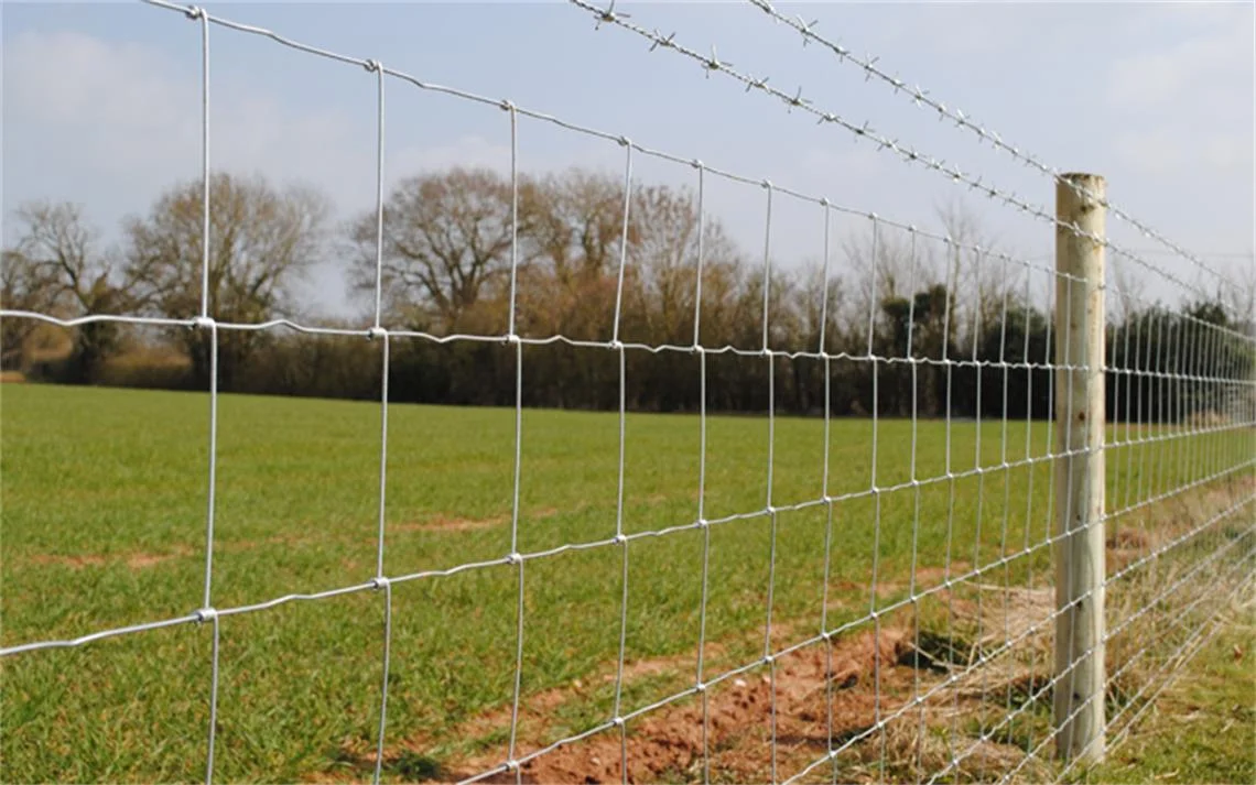 Selling Metal Livestock Farm Fence Wire Mesh Galvanized