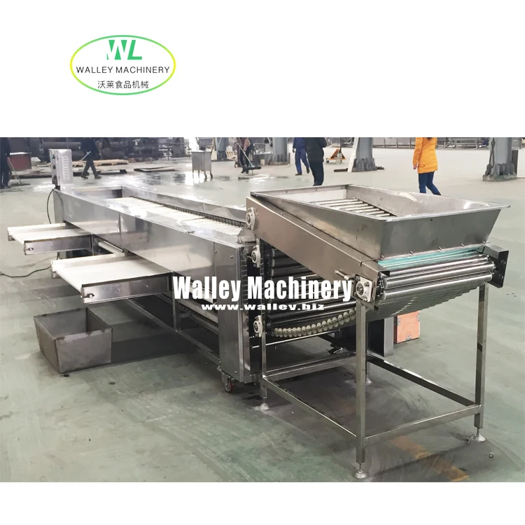 Factory Supply Price Automatic  Vegetables and Fruits Roller Grader Suit Cucumber Cherry Tomato Grading Sorting