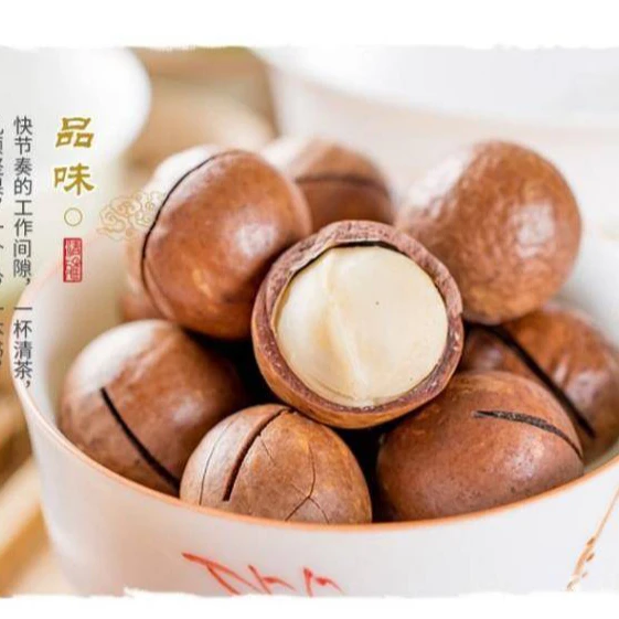 Macadamia Nuts Raw Salted Roasted Maca Powder Healthy Food Macadamia in Shell
