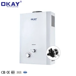 Cheap Price Thermostat Bathroom Shower Hot LPG 6L 10L 12L 14L gas Water Heat Pump Gas Geyser Tankless Instant Gas Water Heater