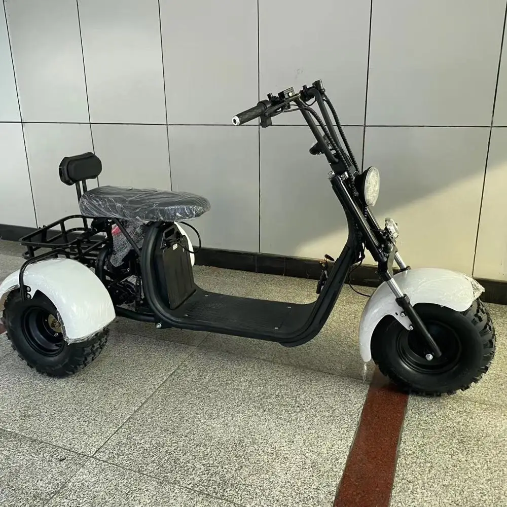 Off road tyre 1000w/1500w/2000w beach car scooter fat tire 3 wheel electric tricycle citycoco