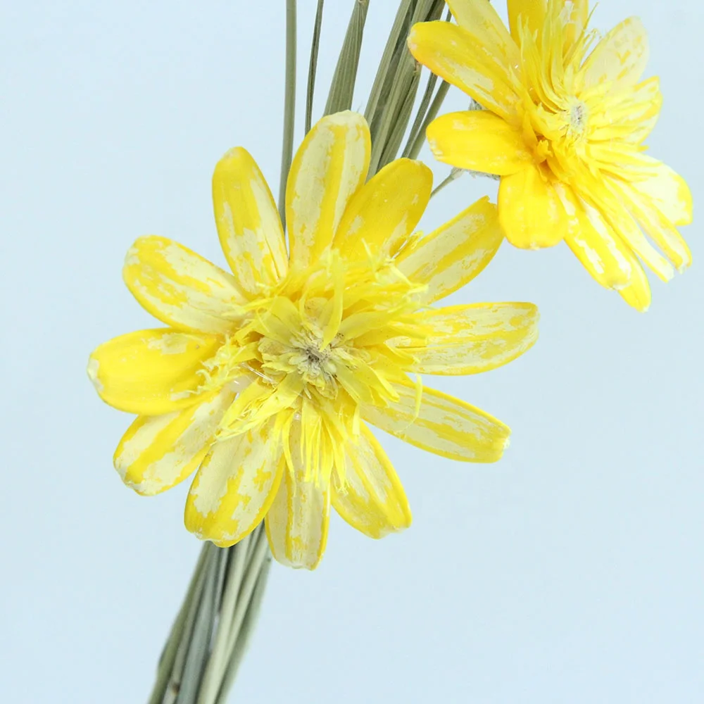 Primary Source Wholesale Dried Handmade Melon Seed Pericarp Flower The Third Genrnation For Home Decor Event & Party Supplies