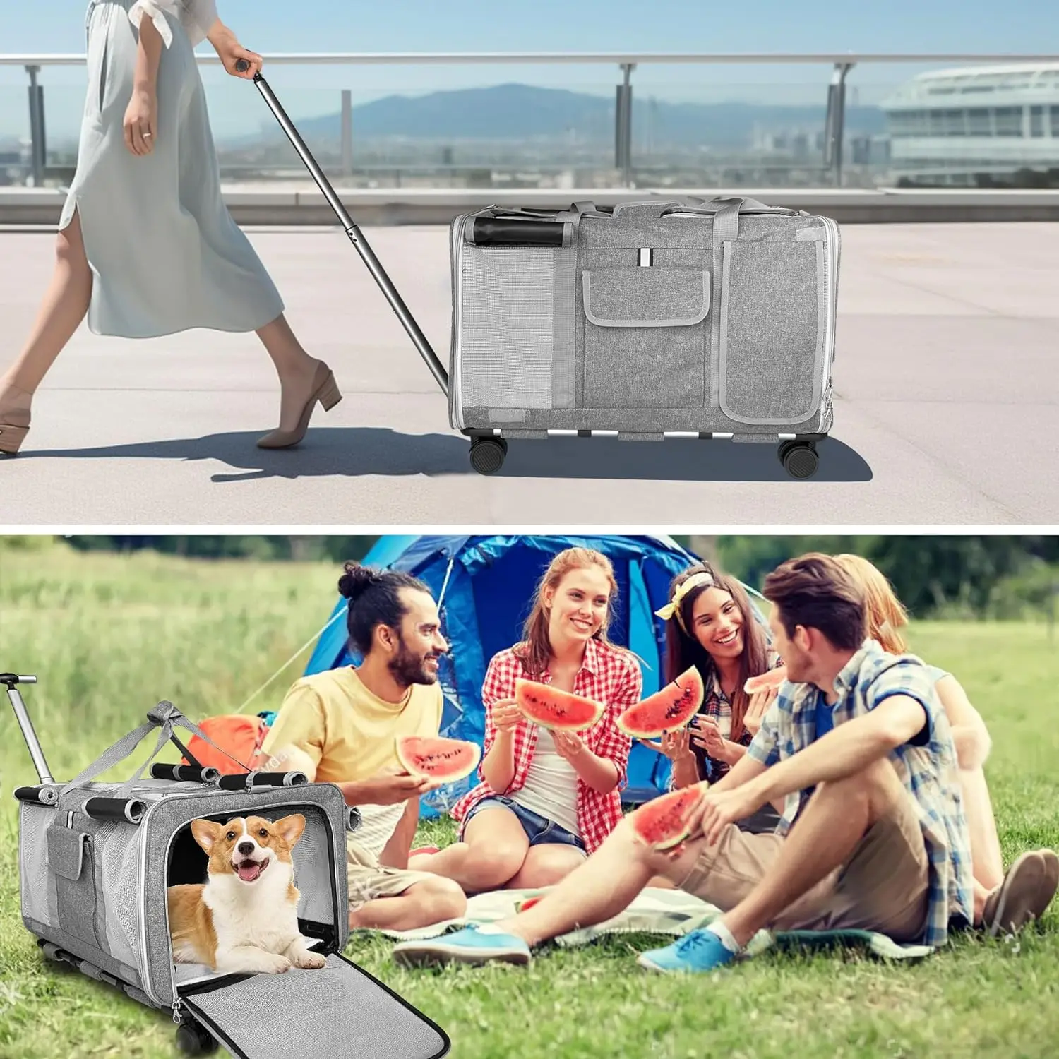 Foldable Pet Dog and Cat Carrier Bag Cat Dog Backpacks, Crossbody Bag for Pets Portable Breathable Rubber Mesh Bags with Wheel