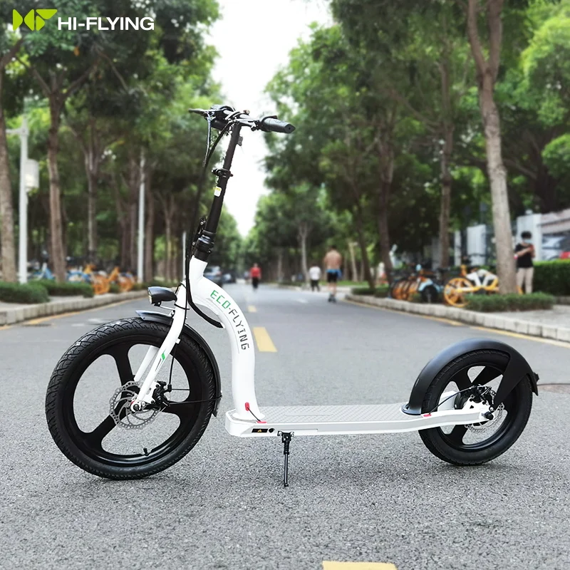 EU Warehouse Hot Sale Eco-Flying 350W 10Ah Big Wheels Foldable Electric Scooter