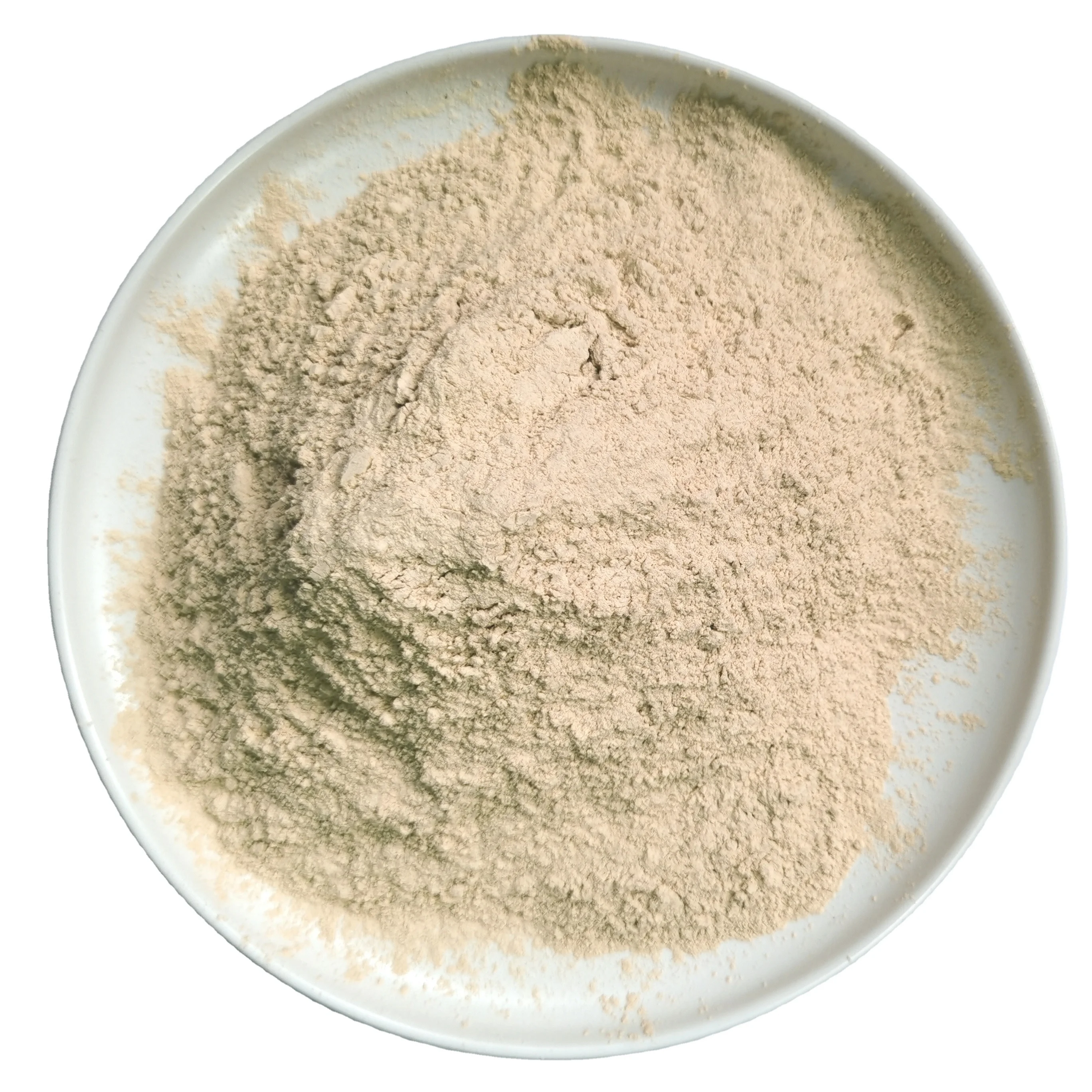 
hot sell 100% natural pure high quality new crop AD dehydrated dried garlic powder 