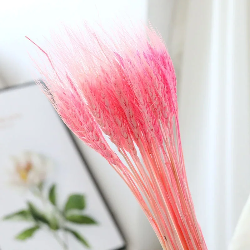 AYOYO OEM Best selling Dried wheat for home/wedding/park/school/party decoration colorful wheat wheat