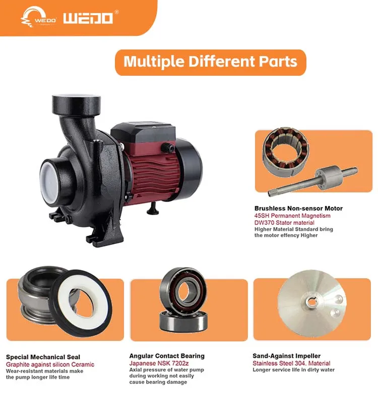 WSHF21-14-96-750 1hp 96v DC Solar Surface Water Pump Agriculture Irrigation Solar Pumps With controller